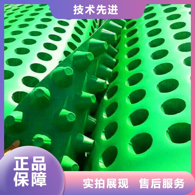排水板塑料排水板价格地道