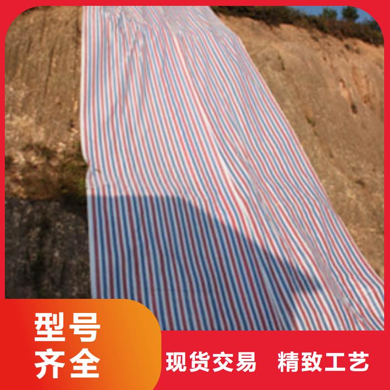 彩条布防雨篷布厂家实力厂家