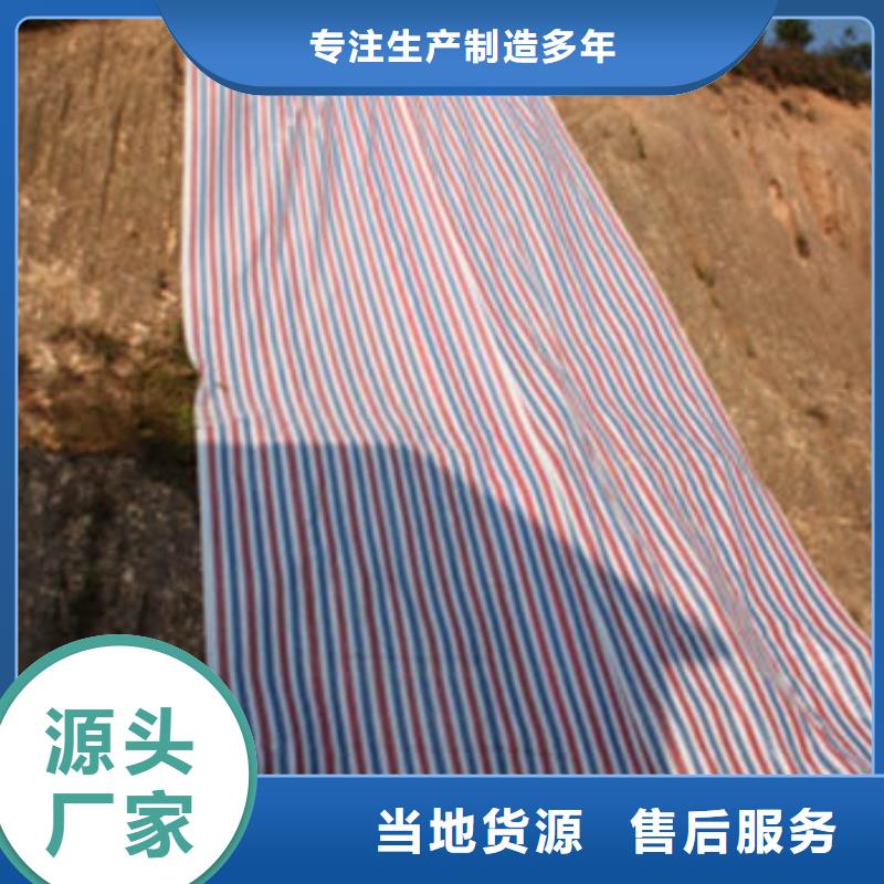 彩条布三防布生产厂家海量现货直销