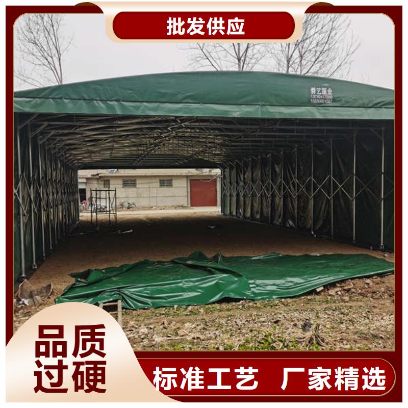 电动篷诚信厂家