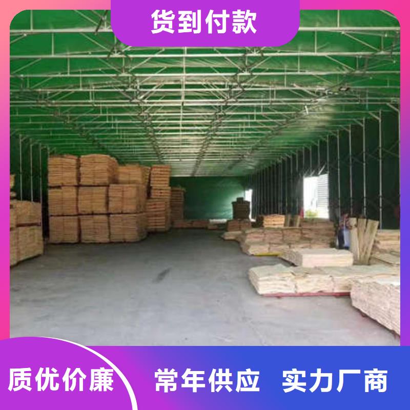 雨棚伸缩雨棚正规厂家