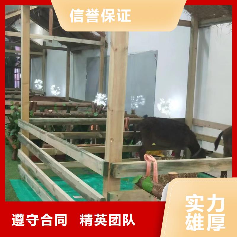 马戏团/羊驼动物表演出租实力商家