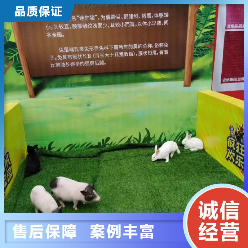 马戏团/羊驼出租表演萌宠实力商家