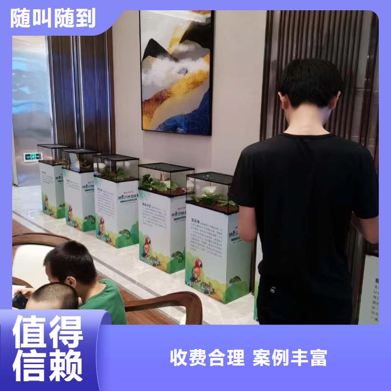 马戏团/羊驼 马戏团表演资质齐全