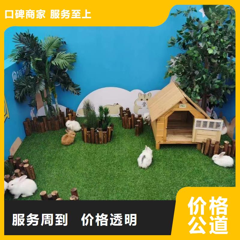 马戏团/羊驼美人鱼表演注重质量