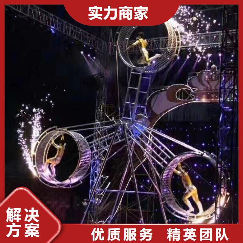 马戏团/羊驼观赏性羊驼租赁正规公司