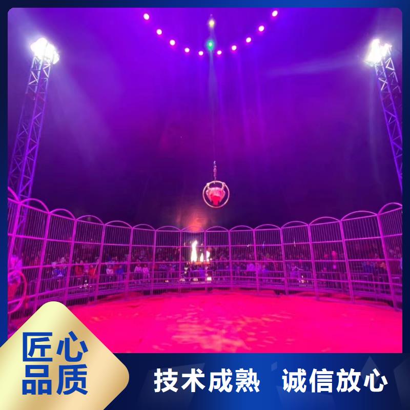 马戏团/羊驼草泥马羊驼租赁放心