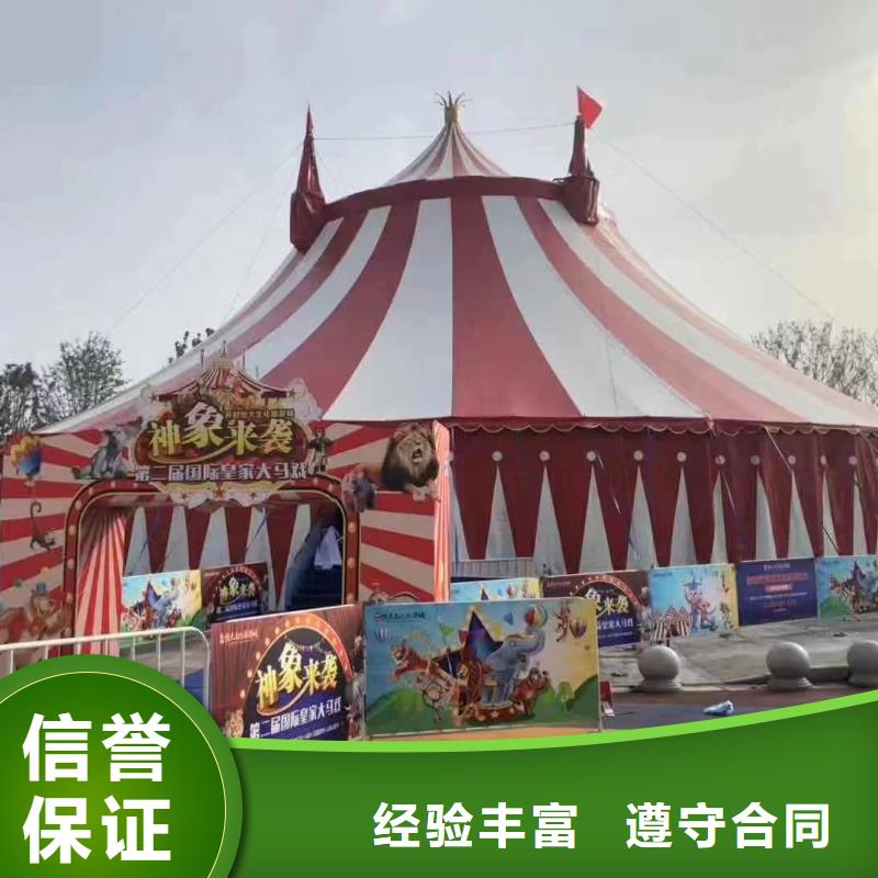 马戏团/羊驼【马戏表演】24小时为您服务