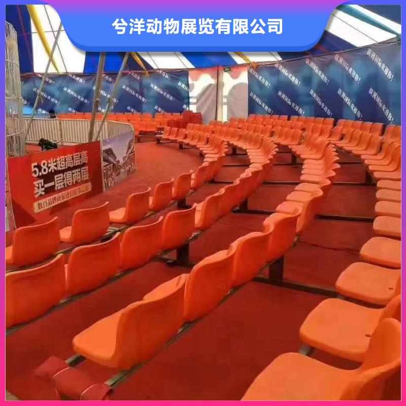 马戏团/羊驼 马戏团表演资质齐全