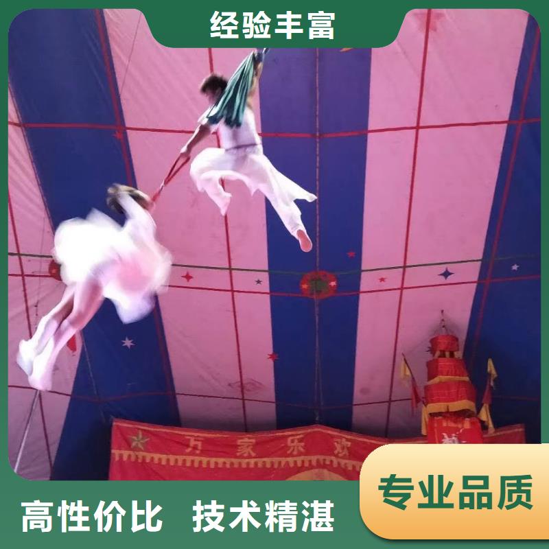 马戏团/羊驼出租表演萌宠实力商家
