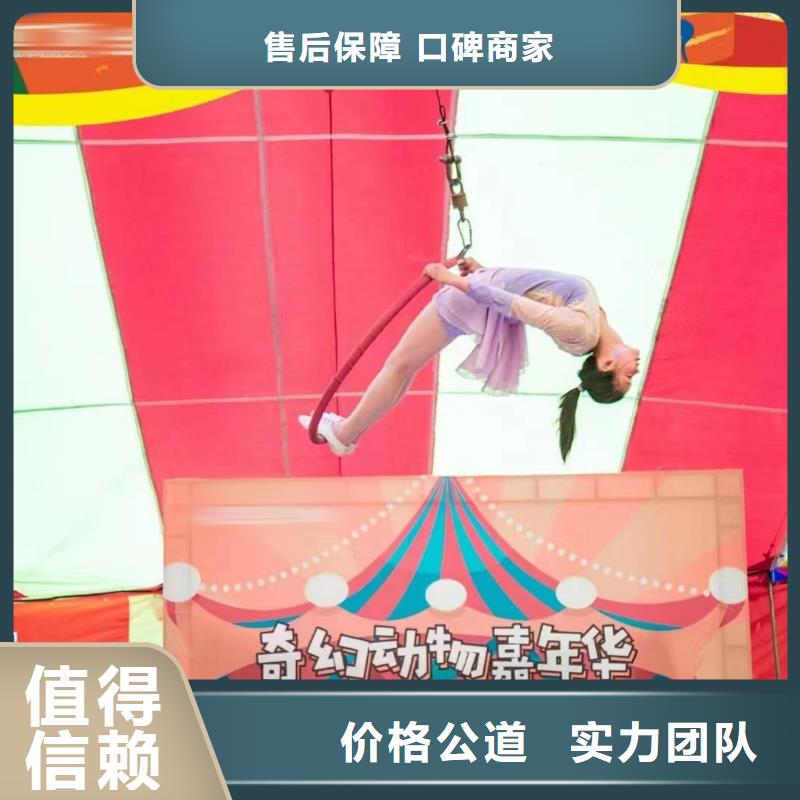 马戏团/羊驼【马戏团表演出租租赁】讲究信誉