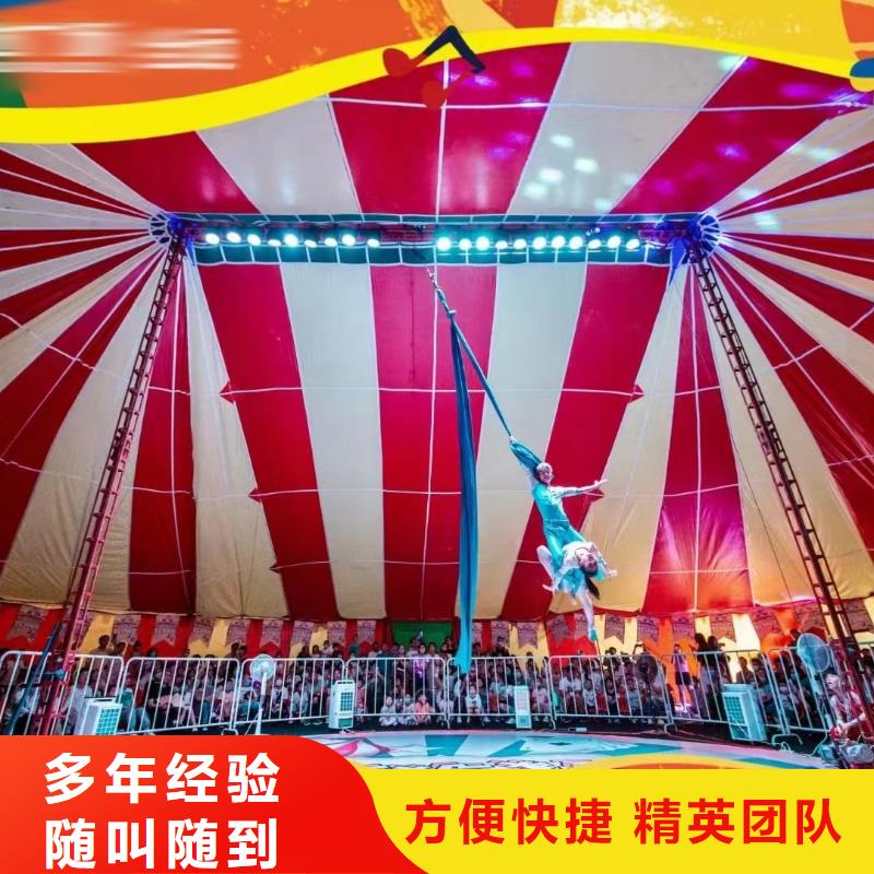 马戏团/羊驼动物表演出租实力商家