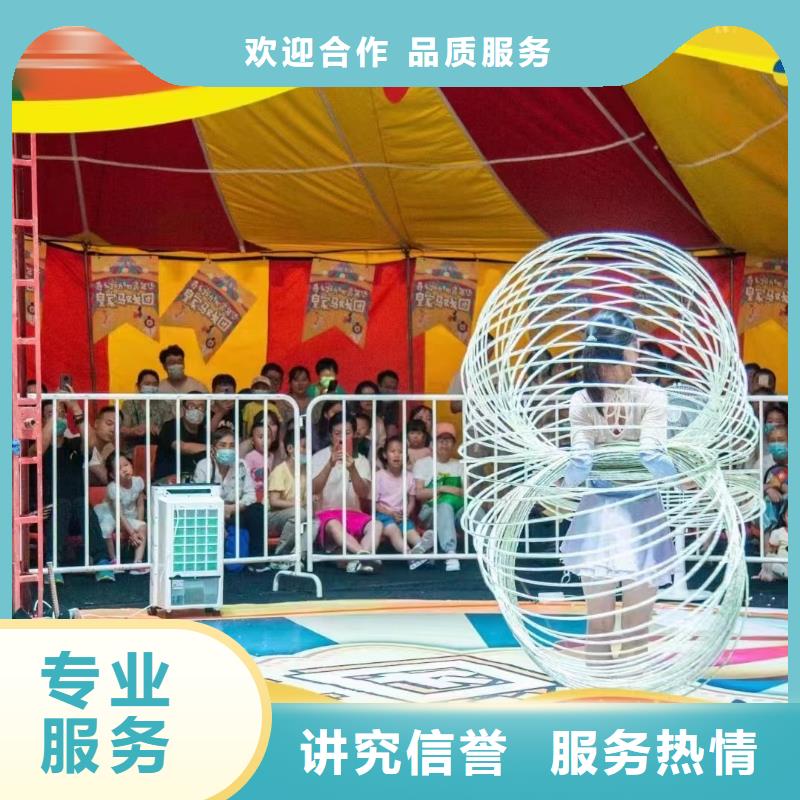 马戏团/羊驼【马戏表演】24小时为您服务