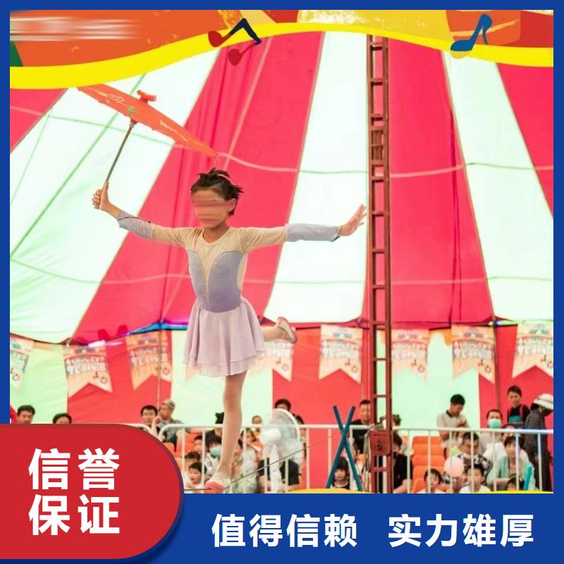 马戏团/羊驼【马戏团表演出租租赁】讲究信誉