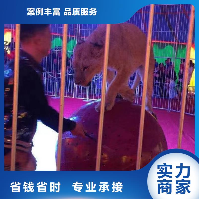 【马戏团/羊驼_海狮表演出租服务周到】