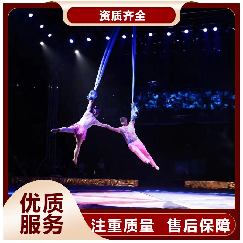 马戏团/羊驼动物表演出租实力商家