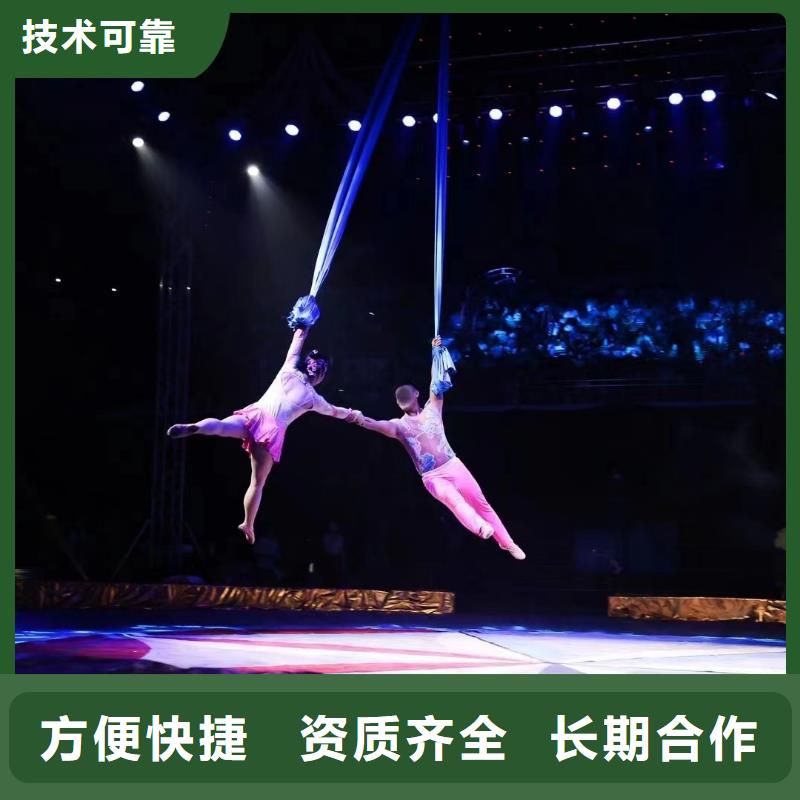 马戏团/羊驼海狮表演出租知名公司