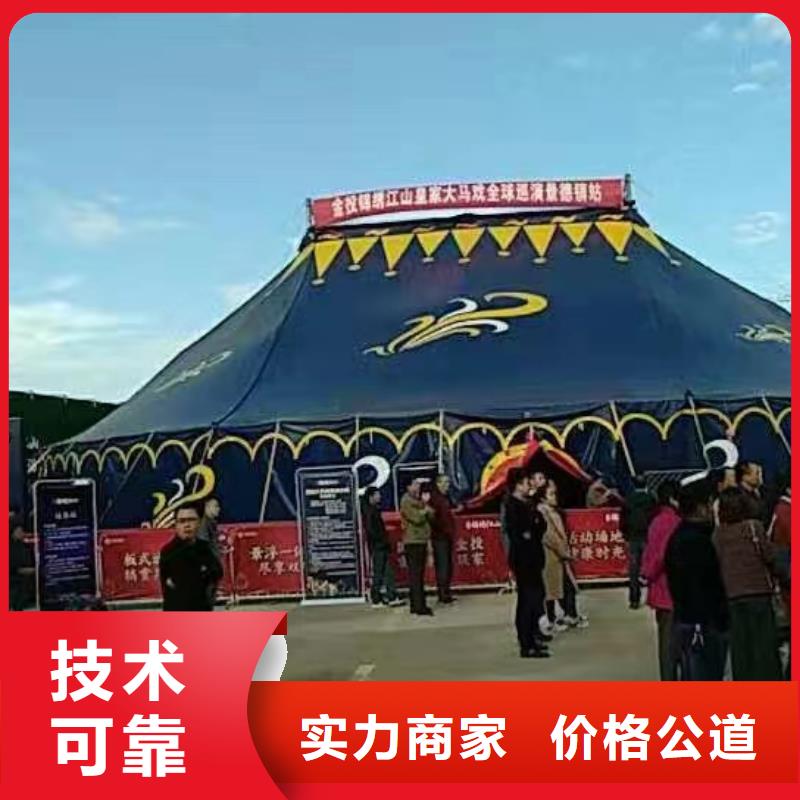 马戏团/羊驼草泥马羊驼租赁放心
