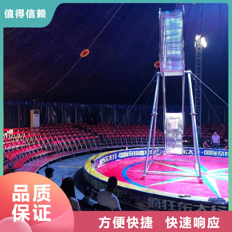 马戏团/羊驼草泥马羊驼租赁放心