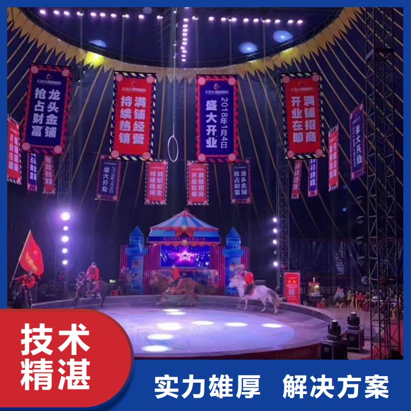 马戏团/羊驼【马戏表演】24小时为您服务