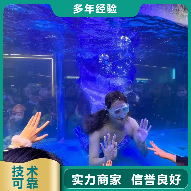 海洋主题动物表演海狮演出优质服务