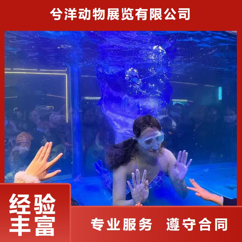 海洋主题动物表演_【美人鱼出租演出】专业