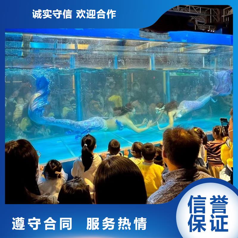 海洋主题动物表演_草泥马羊驼租赁快速