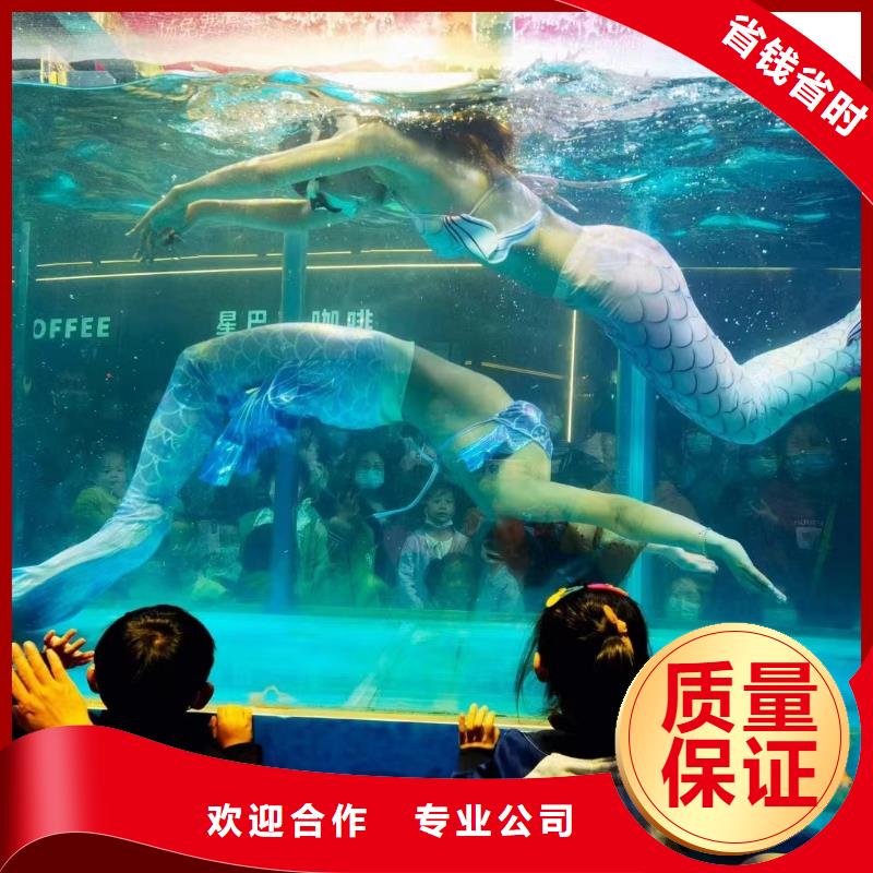 海洋主题动物表演-【海狮表演出租】2025公司