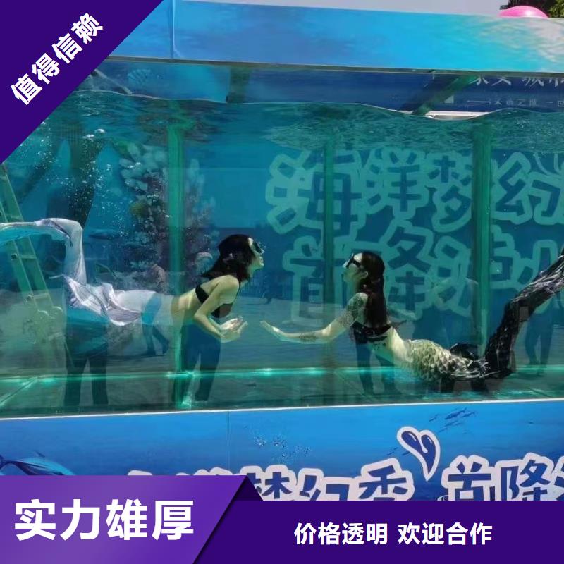 海洋主题动物表演鹦鹉表演实力公司