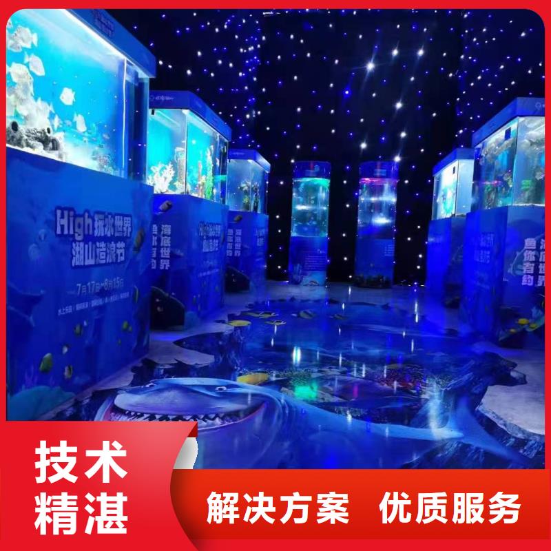 海洋主题动物表演-【海狮表演出租】2025公司