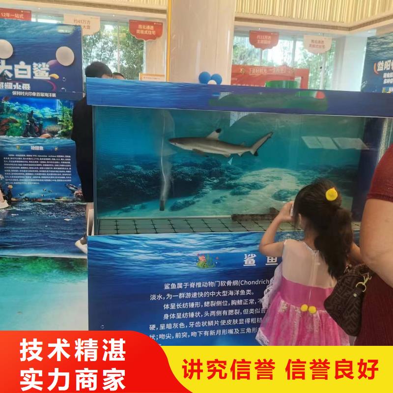 海洋主题动物表演【【活体羊驼租赁】】专业团队