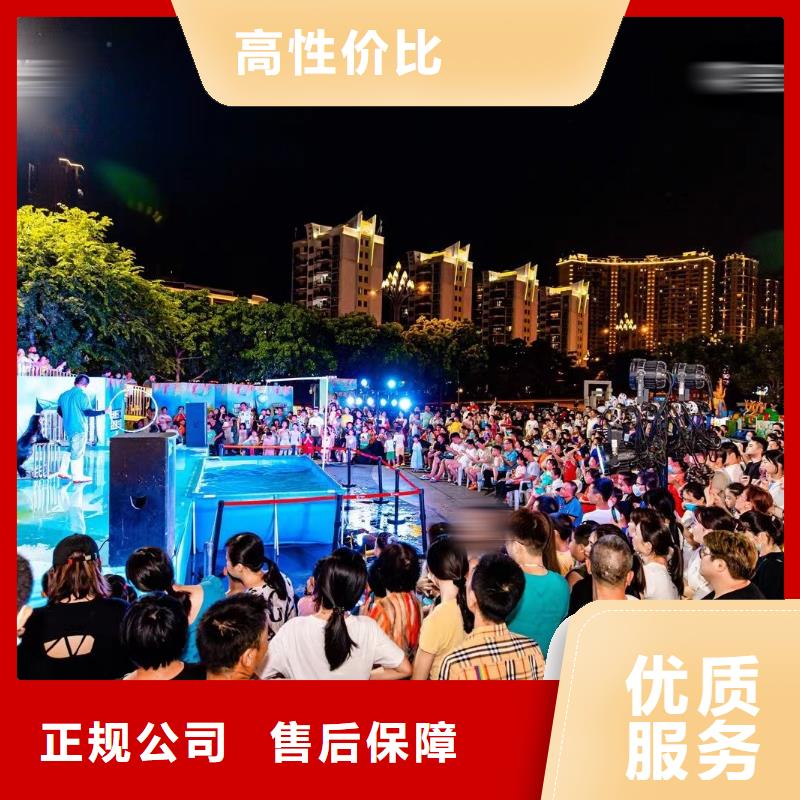 海洋主题动物表演鹦鹉表演实力公司