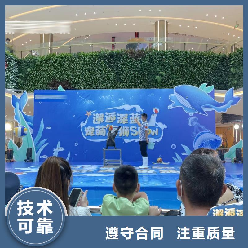 海洋主题动物表演【【活体羊驼租赁】】专业团队