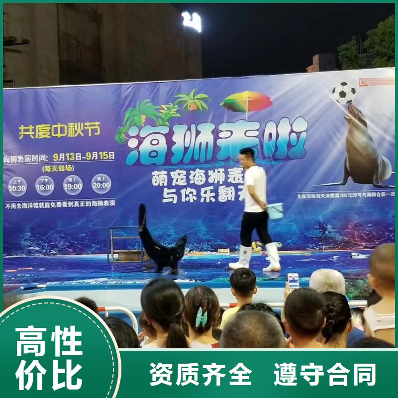 海洋主题动物表演美人鱼表演出租实力商家