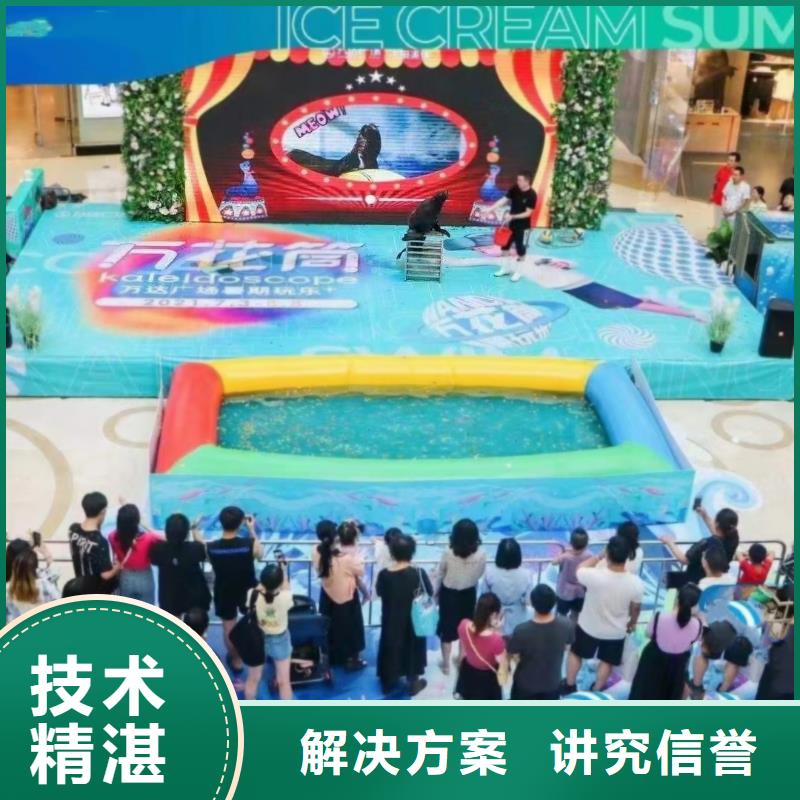 海洋主题动物表演出租马戏团表演解决方案
