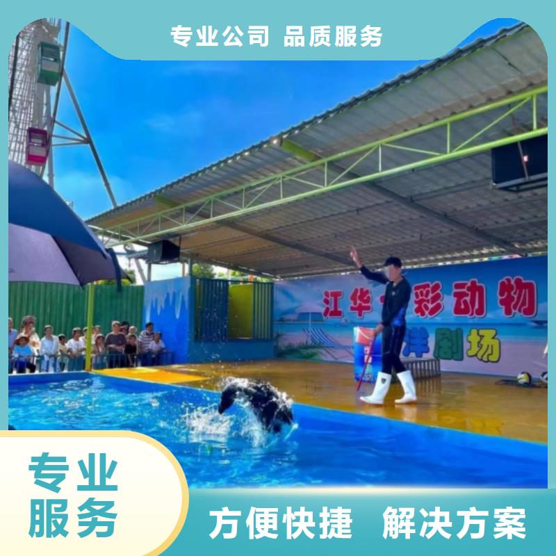 海洋主题动物表演【【活体羊驼租赁】】专业团队