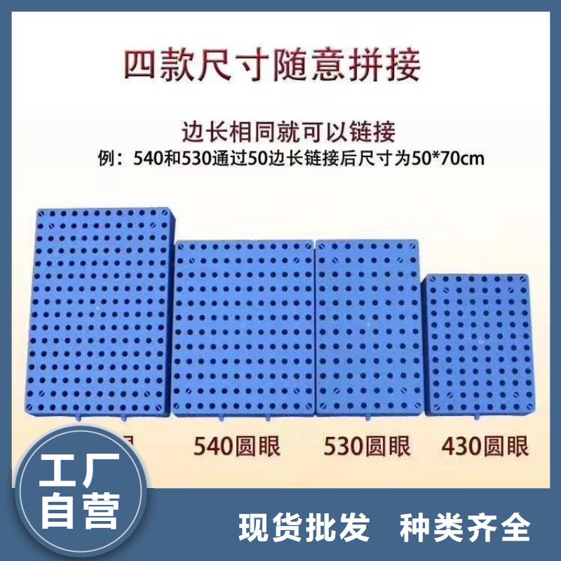 塑料托盘_四面进叉仓储塑料托盘选择我们选择放心