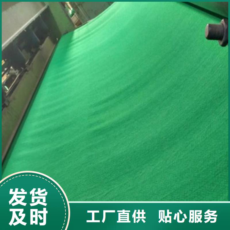 土工布车库顶板排水板大品牌值得信赖