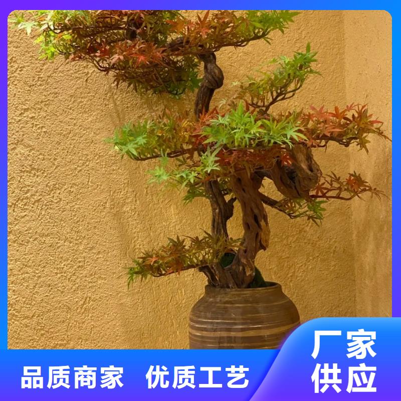 仿夯土漆厂家#内外墙稻草漆#民宿改造#乡村建设