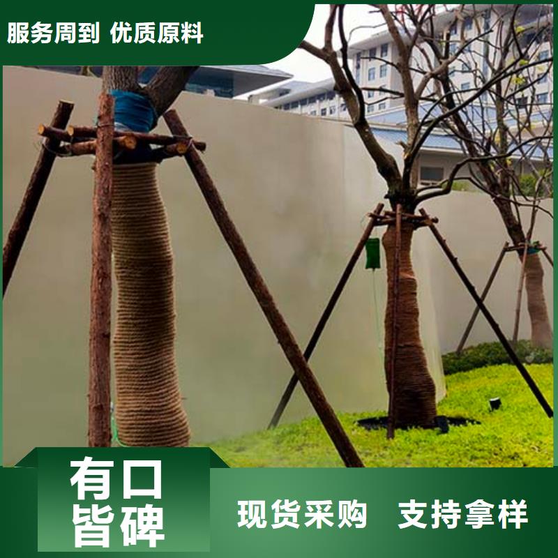 微水泥微水泥涂料质量看得见