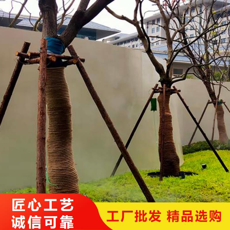 微水泥内墙夯土漆常年出售
