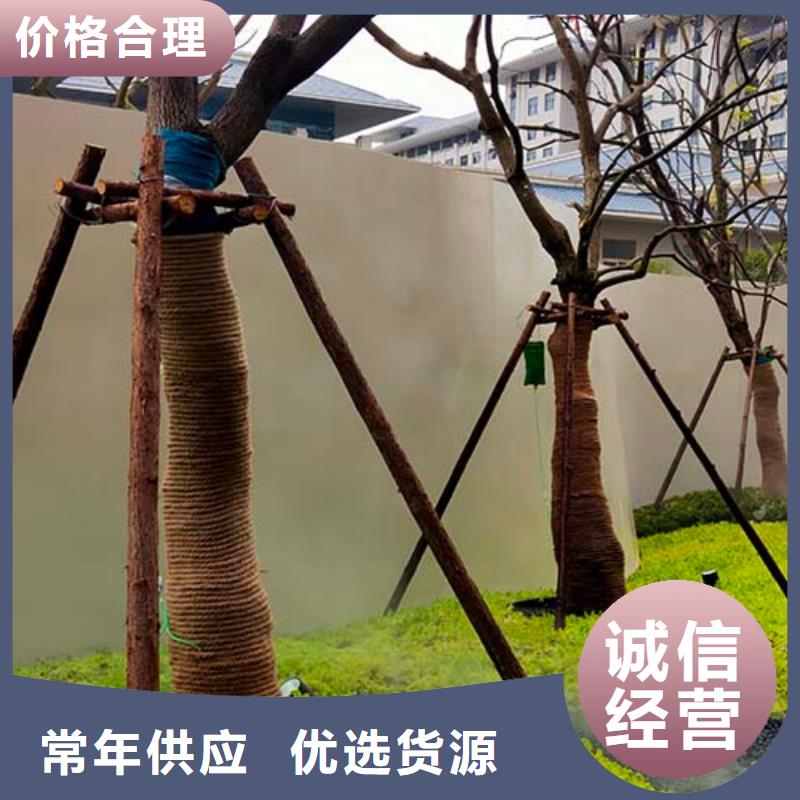 微水泥现代夯土墙多年行业积累