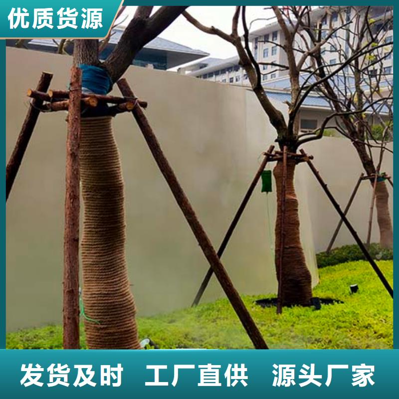 微水泥现代夯土墙多年行业积累