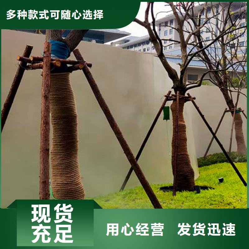 水泥漆马来漆真正让利给买家