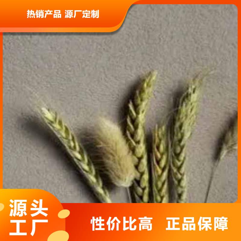 雅晶石工业风微水泥出厂价