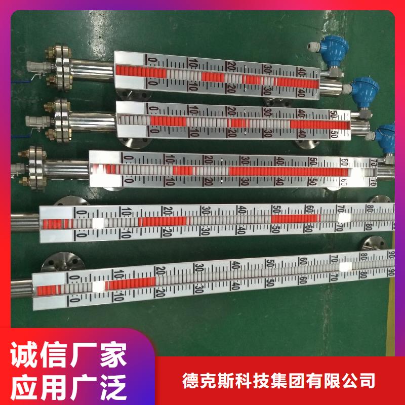 PDS453H-1DS0-A1DCG61G82