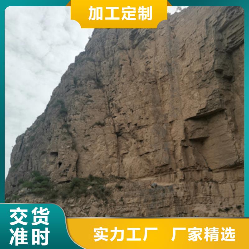 10千伏中压车出租可并网可并机