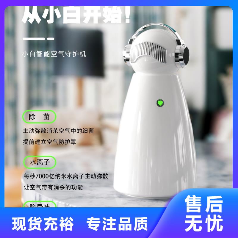 空气净化器【小白空气守护机】专注细节使用放心