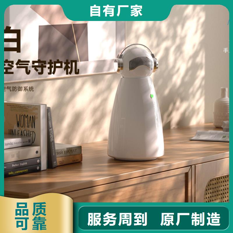 空气净化器【小白空气守护机】专注细节使用放心
