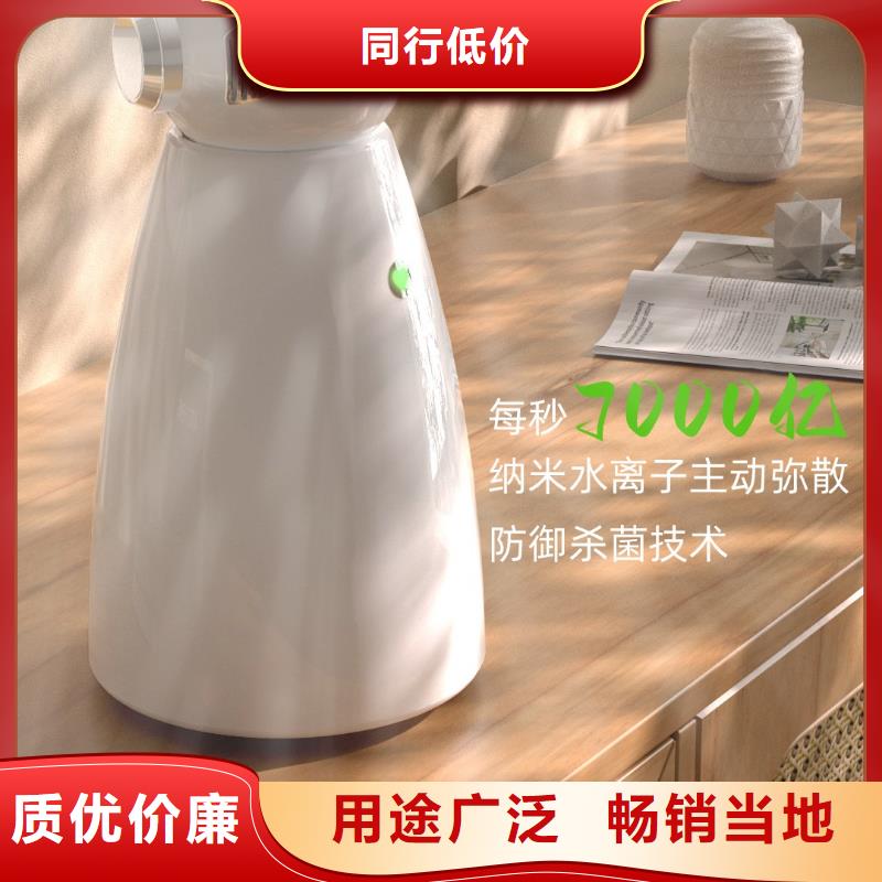 小白祛味王【无臭养宠】现货批发